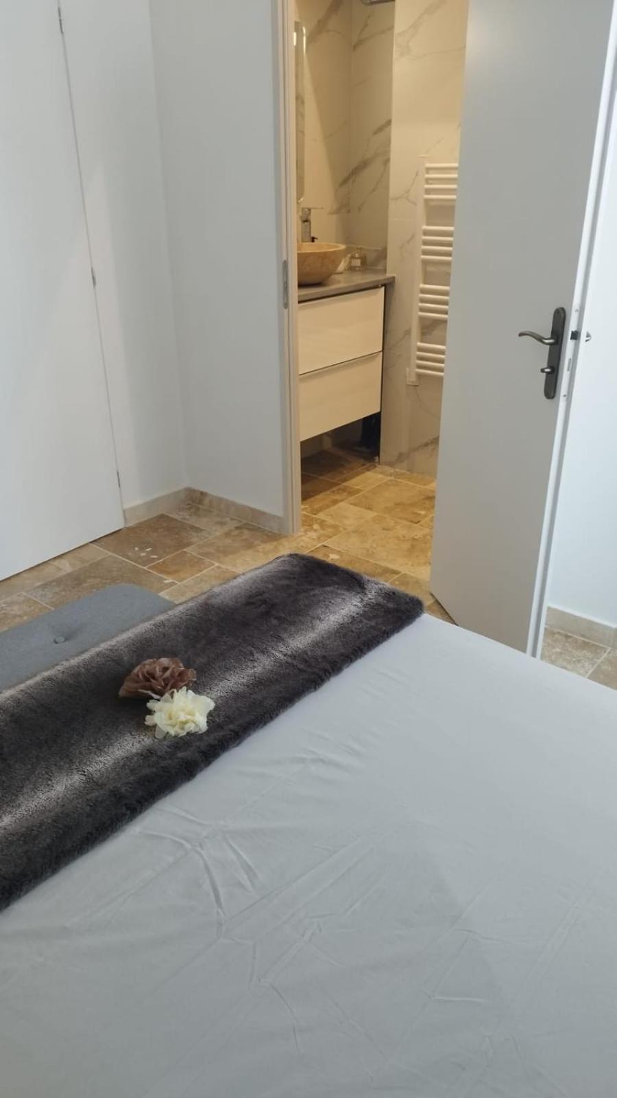 Appartement Lumineux En Rdc Bourgoin-Jallieu Eksteriør billede